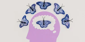 How User Friendly Transport Software Benefits Your Brain