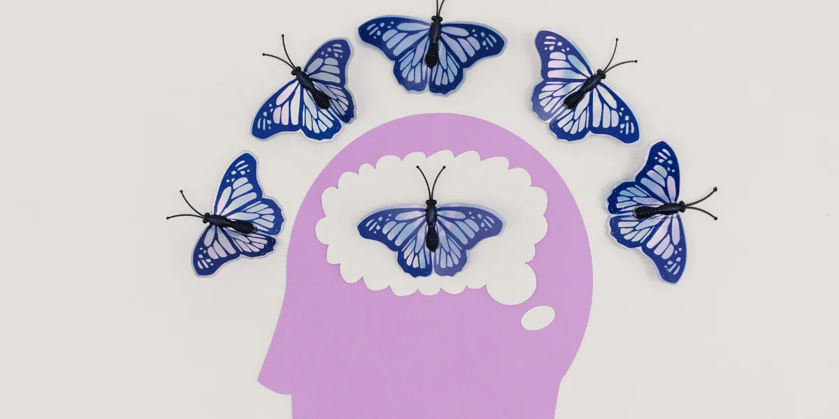 How User Friendly Transport Software Benefits Your Brain